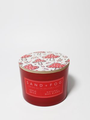 Apple Spice 12 oz scented candle